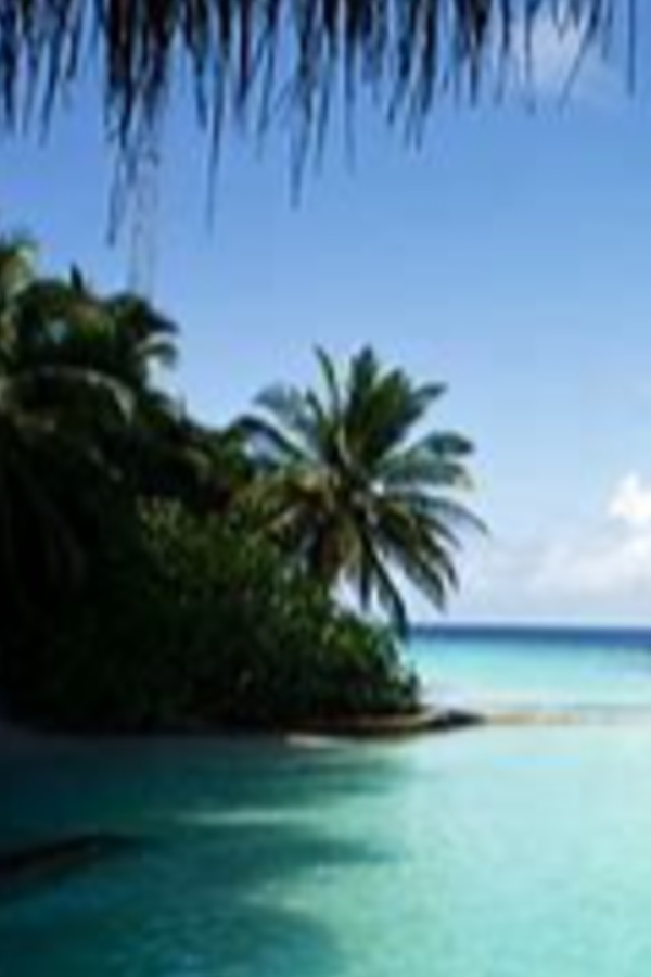 Cruise Brothers Travel Agent David Mcelhaney